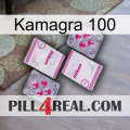 Kamagra 100 33